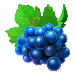 icon 4