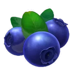 icon 9