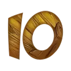 icon 10