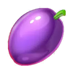 icon 5