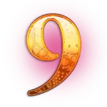 icon 13