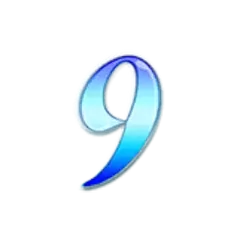 icon 13