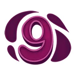 icon 18