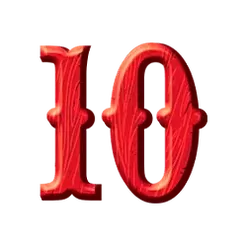 icon 13