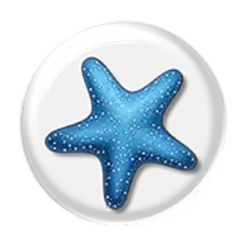 icon 5
