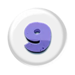 icon 13
