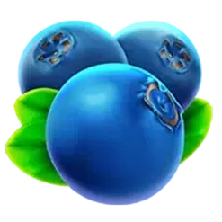 icon 6