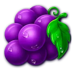 icon 4