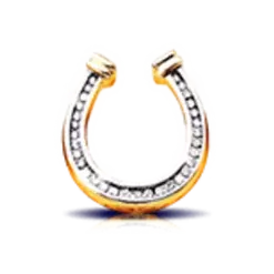 icon 5