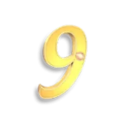 icon 13