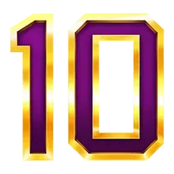 icon 13