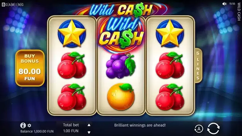 Wild Cash slot screenshot 1