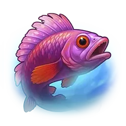 icon 10