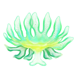 icon 2