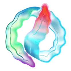 icon 5