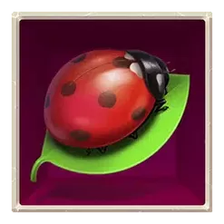 icon 4