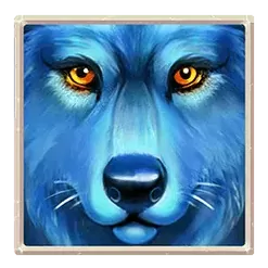 icon 3