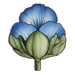 icon 6