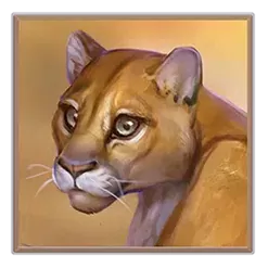 icon 5