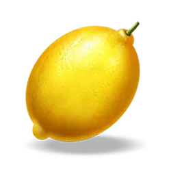 icon 6