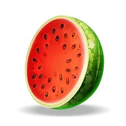 icon 4