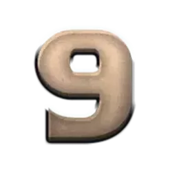 icon 13