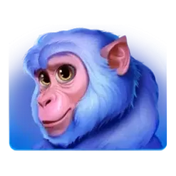 icon 3