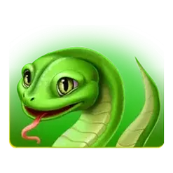icon 4