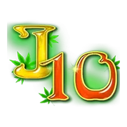 icon 9