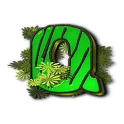 icon 10