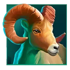 icon 5