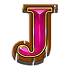 icon 9