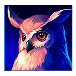 icon 3