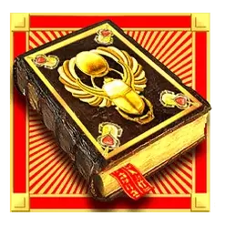 icon 10