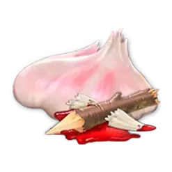 icon 4