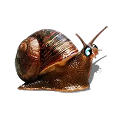 icon 4