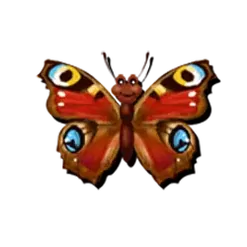 icon 3