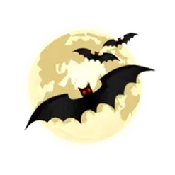 icon 6