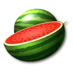icon 4
