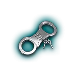 icon 5