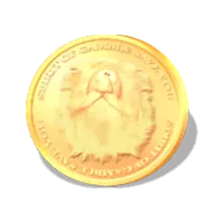 icon 4