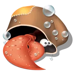 icon 6