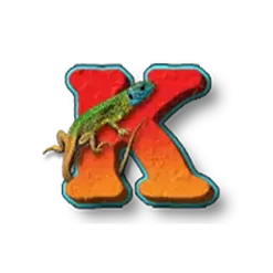 icon 22