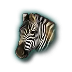 icon 19