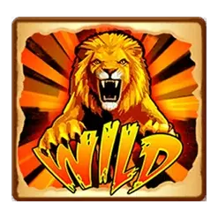 icon 12