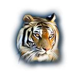 icon 16
