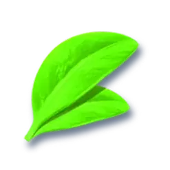 icon 10