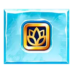 icon 9
