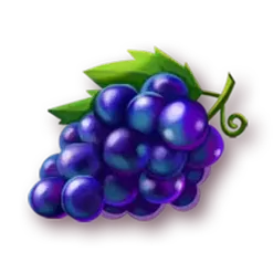 icon 6
