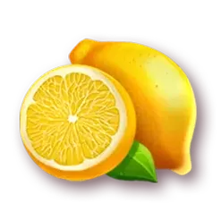 icon 5